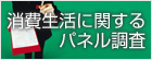 消費生活に関するパネル調査